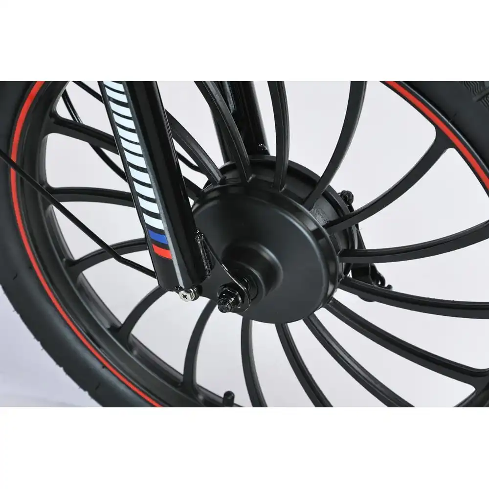 Электровелосипед SmartBalance Fiesta Pro11583